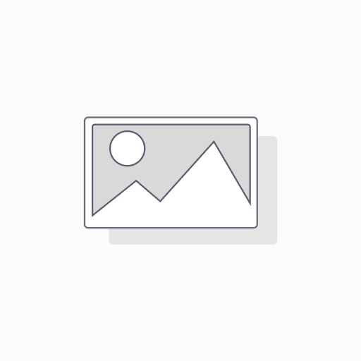 Add Loss & Gain Account on Asset